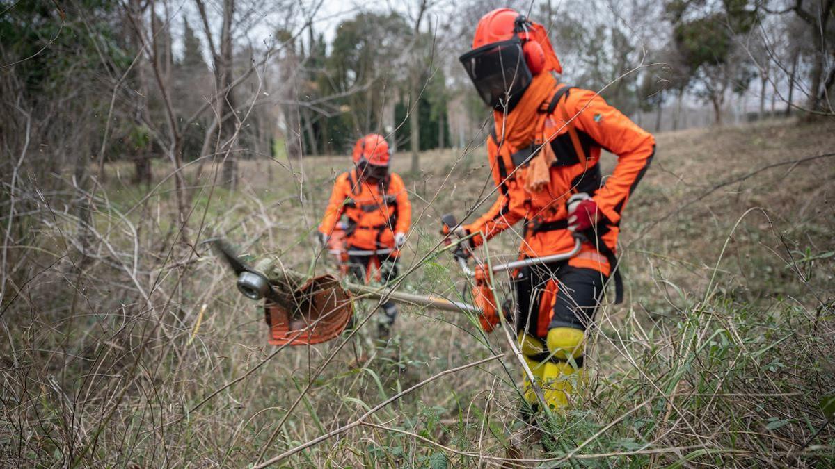 Participantes en el equipo forestal del Programa Arrela't, de la Fundació Formació i Treball, trabajan en el bosque de Montjuïc.