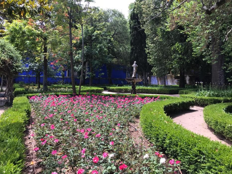 Rosa "Castell d'Alaquàs" en el palacio Fronteira de Lisboa.