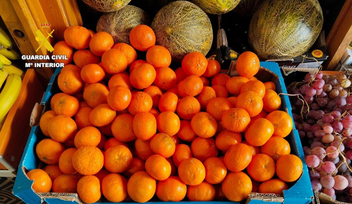 La Guardia Civil detecta albaranes falsos en la venta de fruta en Castellón