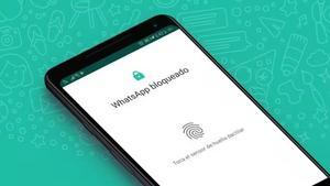 WhatsApp: arriba l’última novetat per protegir els teus xats