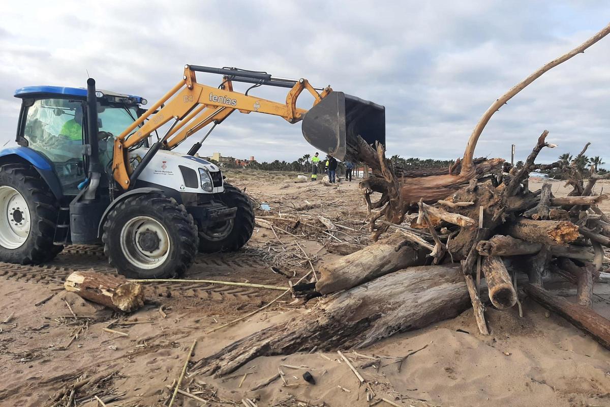 Reitrada de troncs a la platja, a Torroella de Montgrí Data de publicació: dimarts 17 de febrer del 2026, 14:36