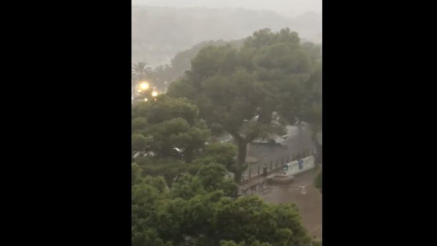 Tanja Zoller hat diese Aufnahmen in Porto Cristo gemacht.