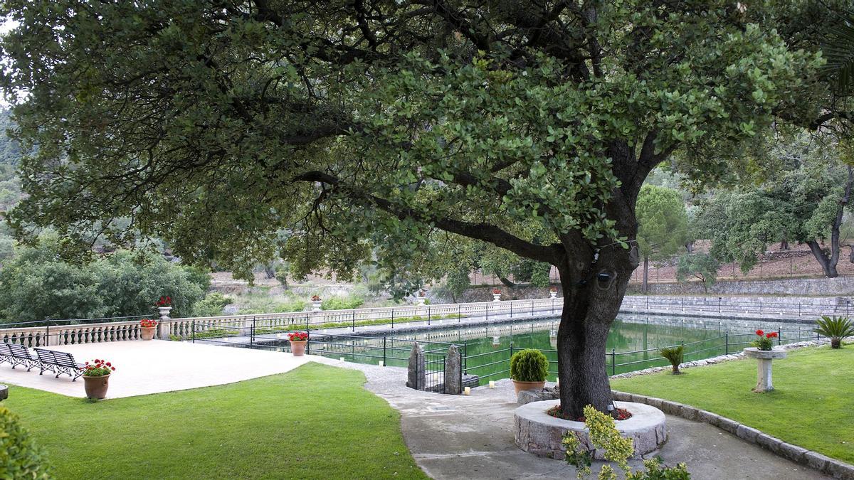 Jardín con el tercer estanque más grande de Mallorca Jardín con el tercer estanque más grande de Mallorca