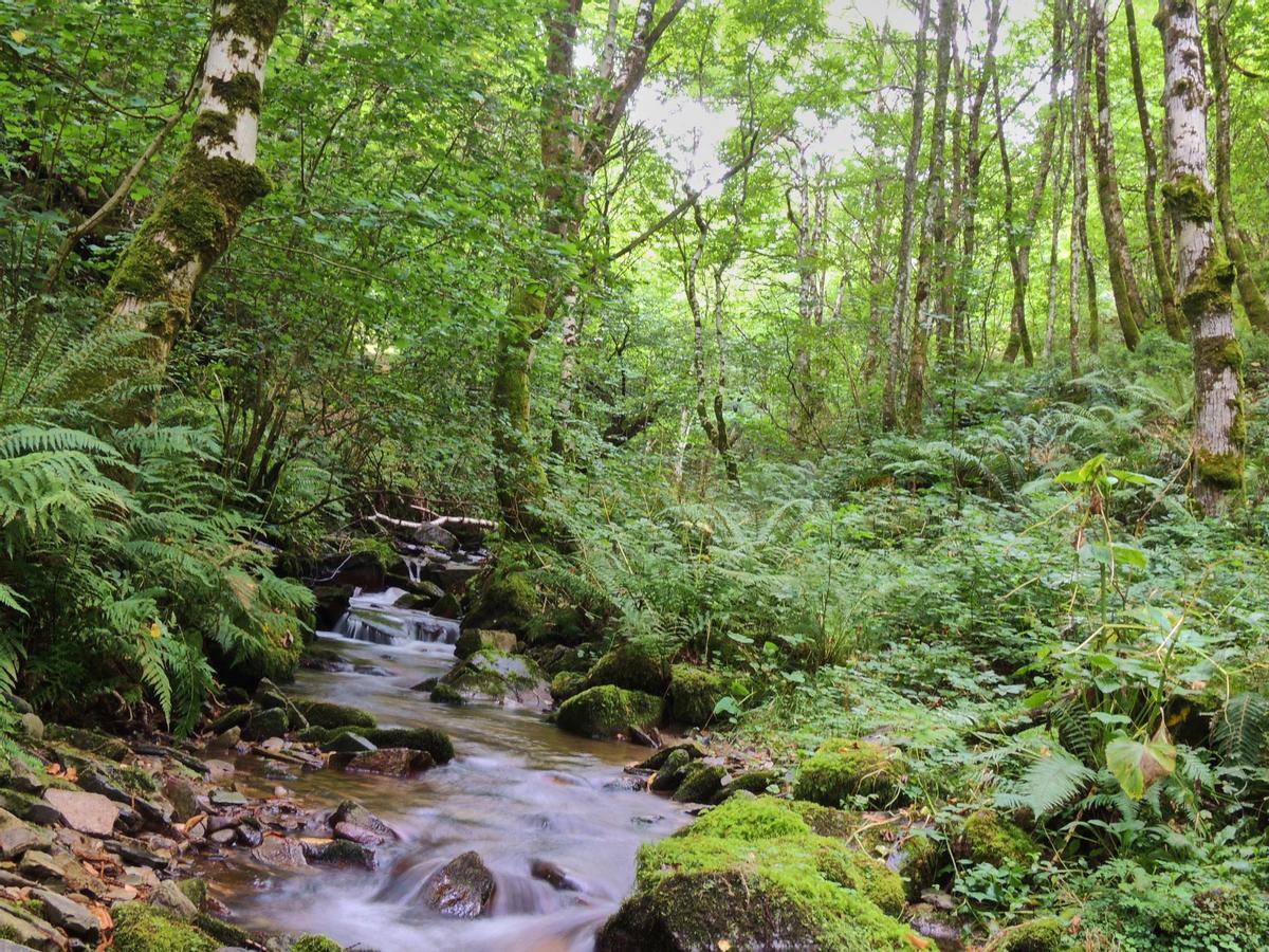 El entorno natural de Os Teixois en Asturias