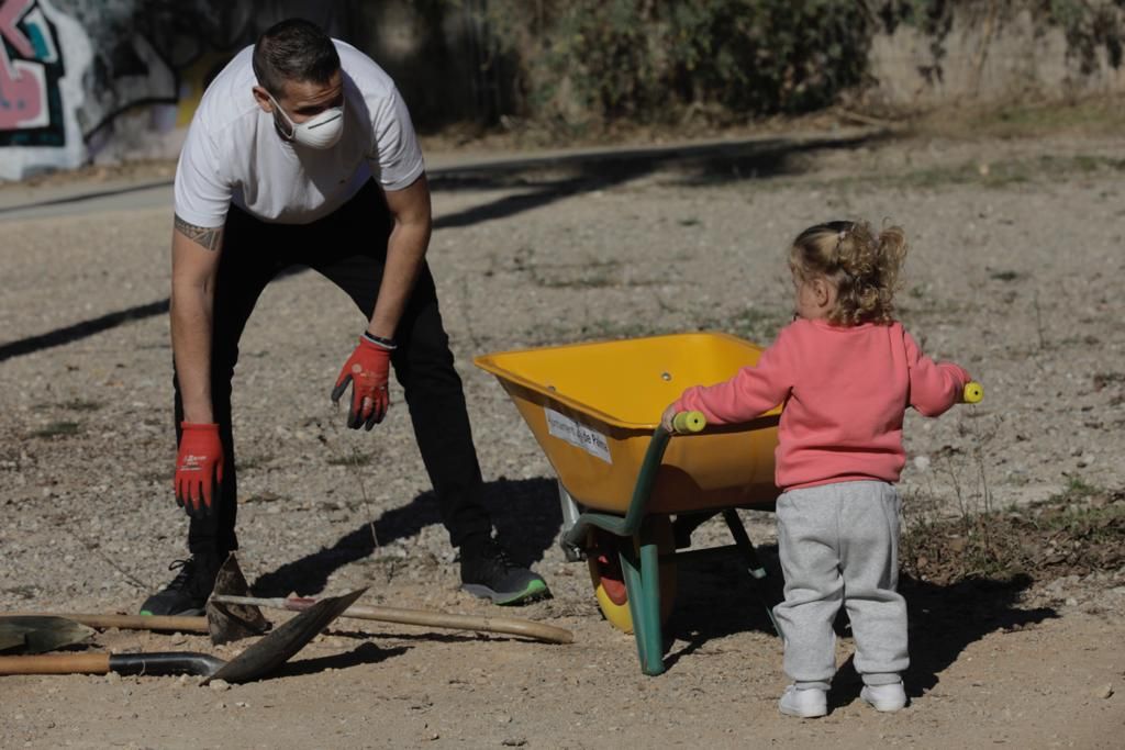 Siembra de árboles en el parque de sa Riera de Palma