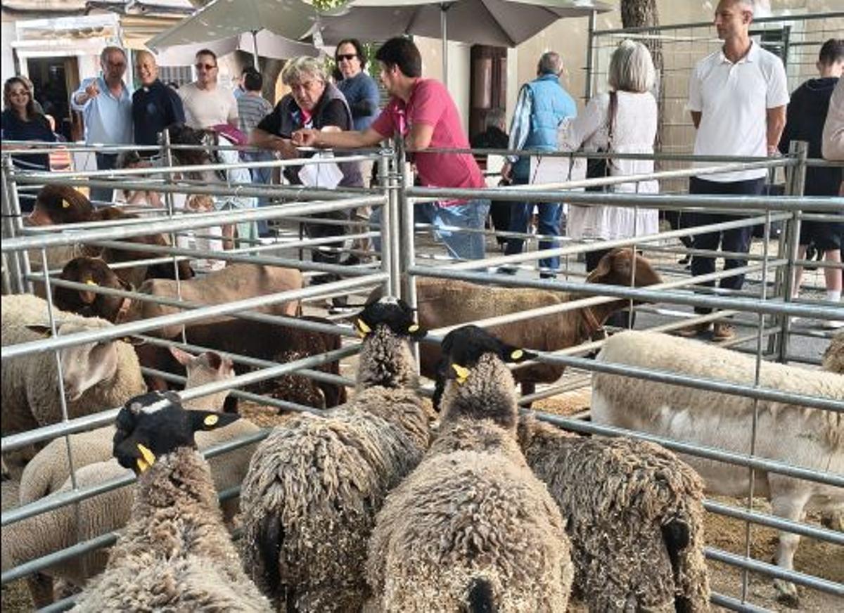 Las imágenes de la Fira de Sencelles