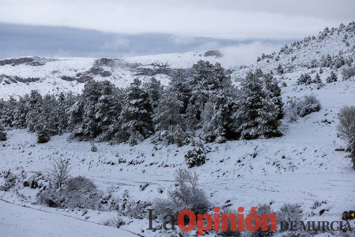 La comarca del Noroeste ofrece una estampa invernal