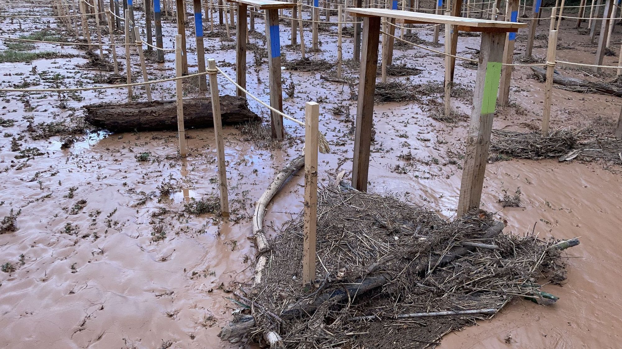 La DANA dejó impracticable todo el recinto del Bosque Sonoro