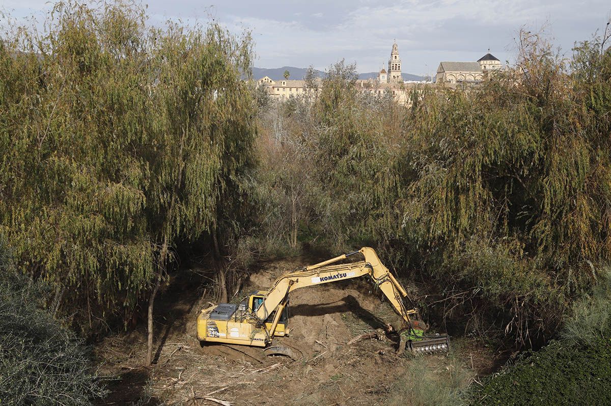 En imágenes el estado de la limpieza de los Sotos de la Albolafia