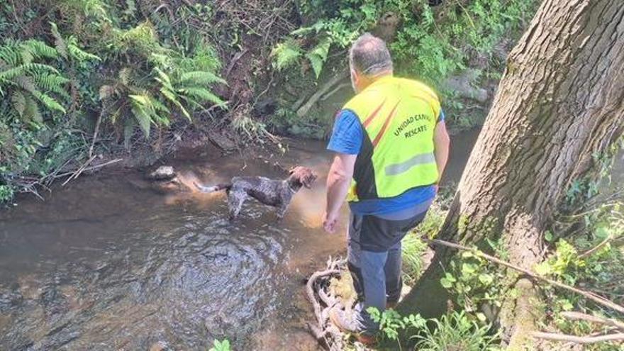 Efectivos de la Unidad Canina de los Bomberos durante el rastreo del cuerpo.