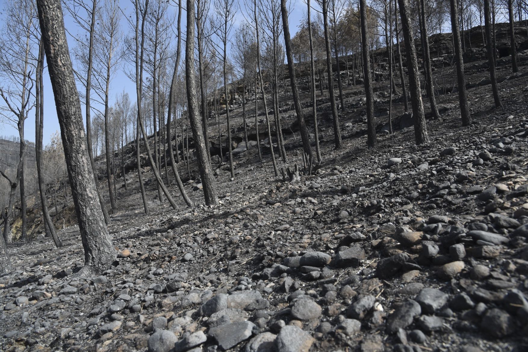 Així ha afectat el foc les tines de la Vall del Flequer