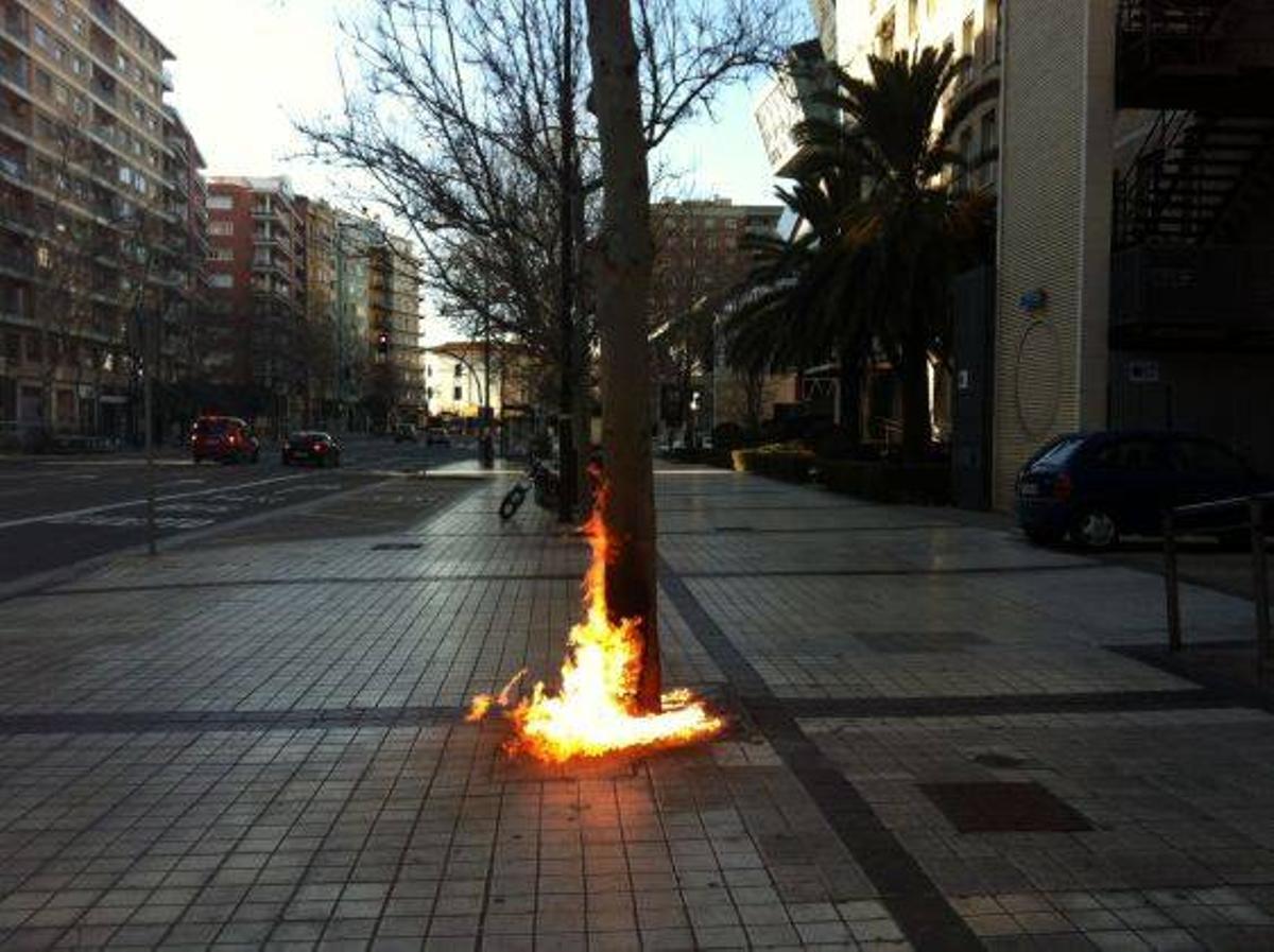 PRENDEN FUEGO A UN ALCORQUE EN MARÍA AGUSTÍN