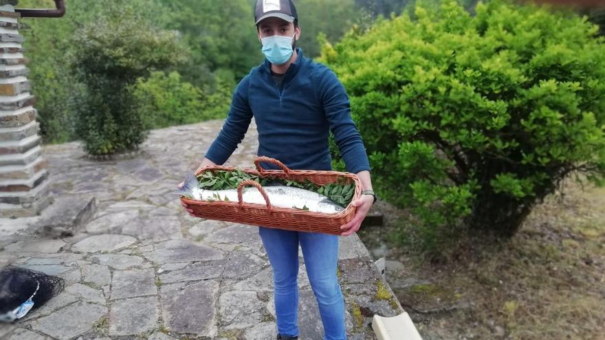 El campanu de Asturias, capturado en el coto de La Volta del  río Eo