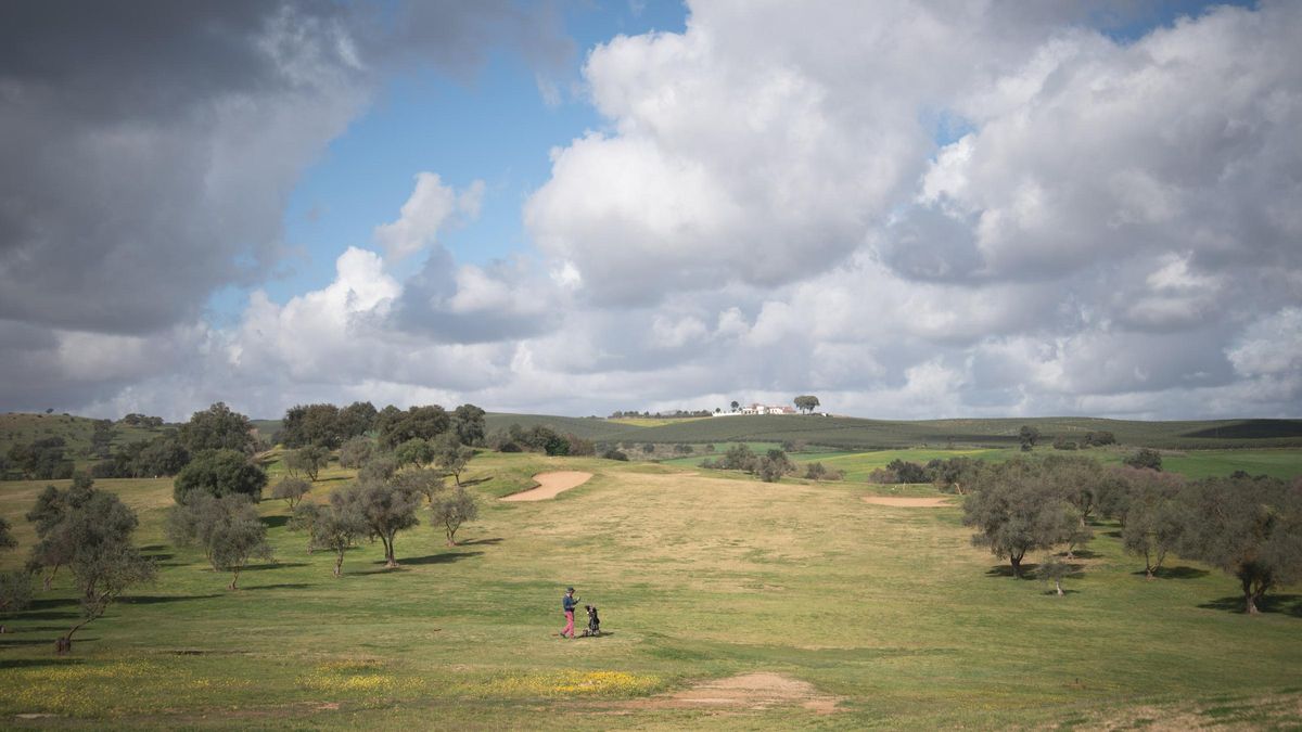 Terrenos sobre los que se construirá el Nuevo Don Tello