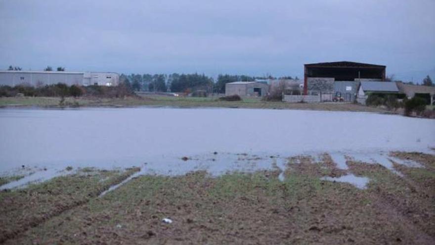 Algunas parcelas de la Lagoa de Antela permanecen inundadas.  // I. Osorio