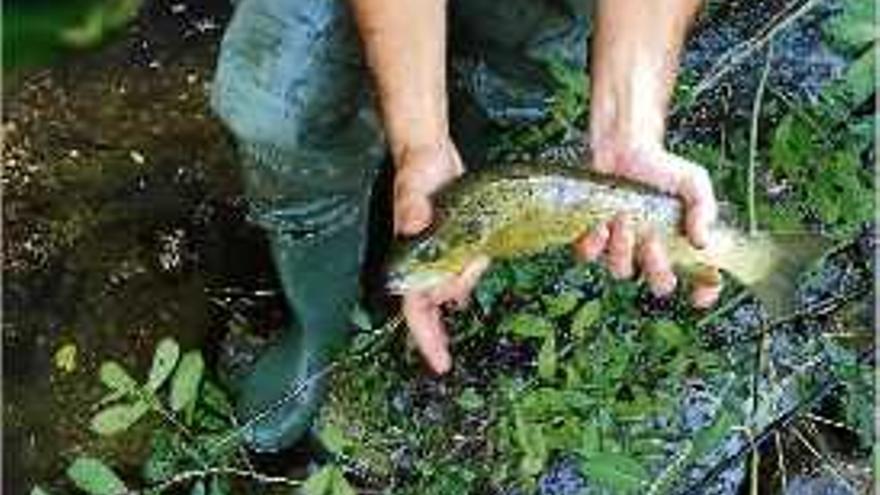 Un pescador mostra un dels exemplars trobat divendres passat.