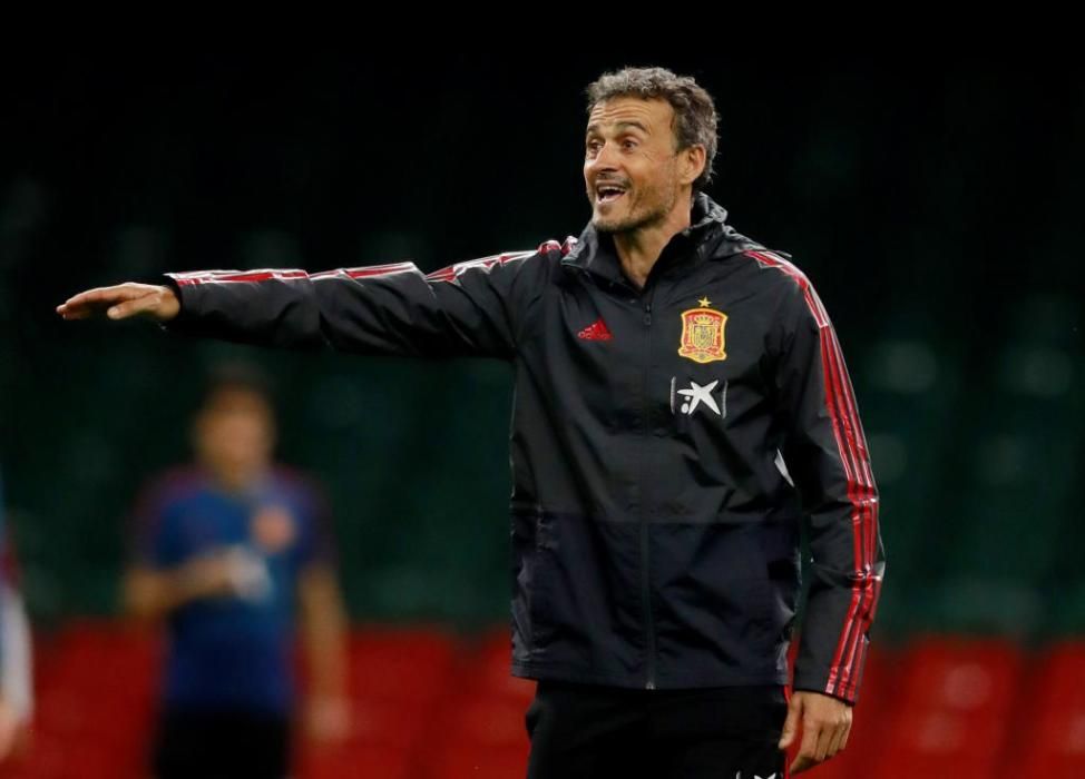 Así fue el paso de Luis Enrique por la Selección