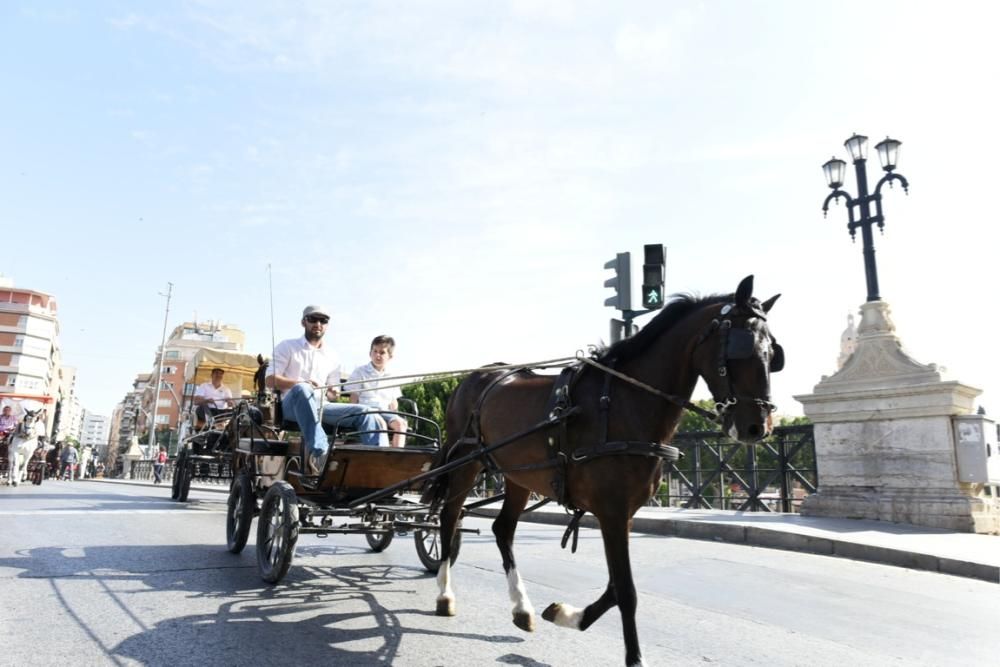 Ruta en carro al corazón de la Huerta