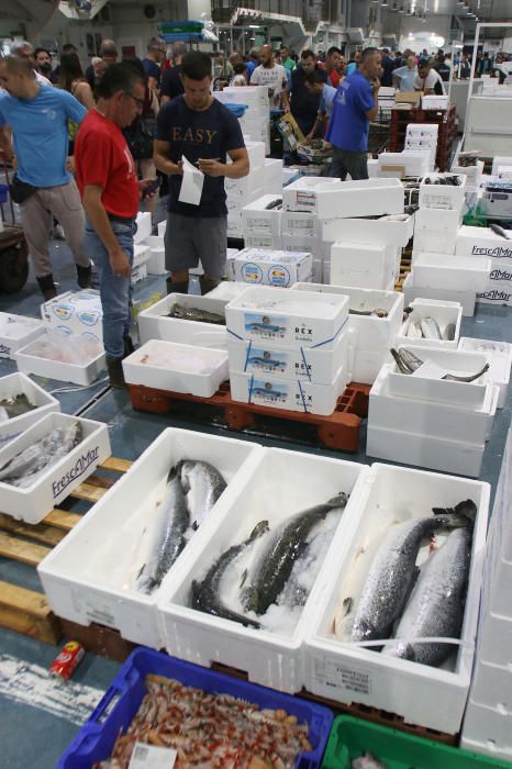 Así es un día de trabajo en la pescadería de Mercamálaga