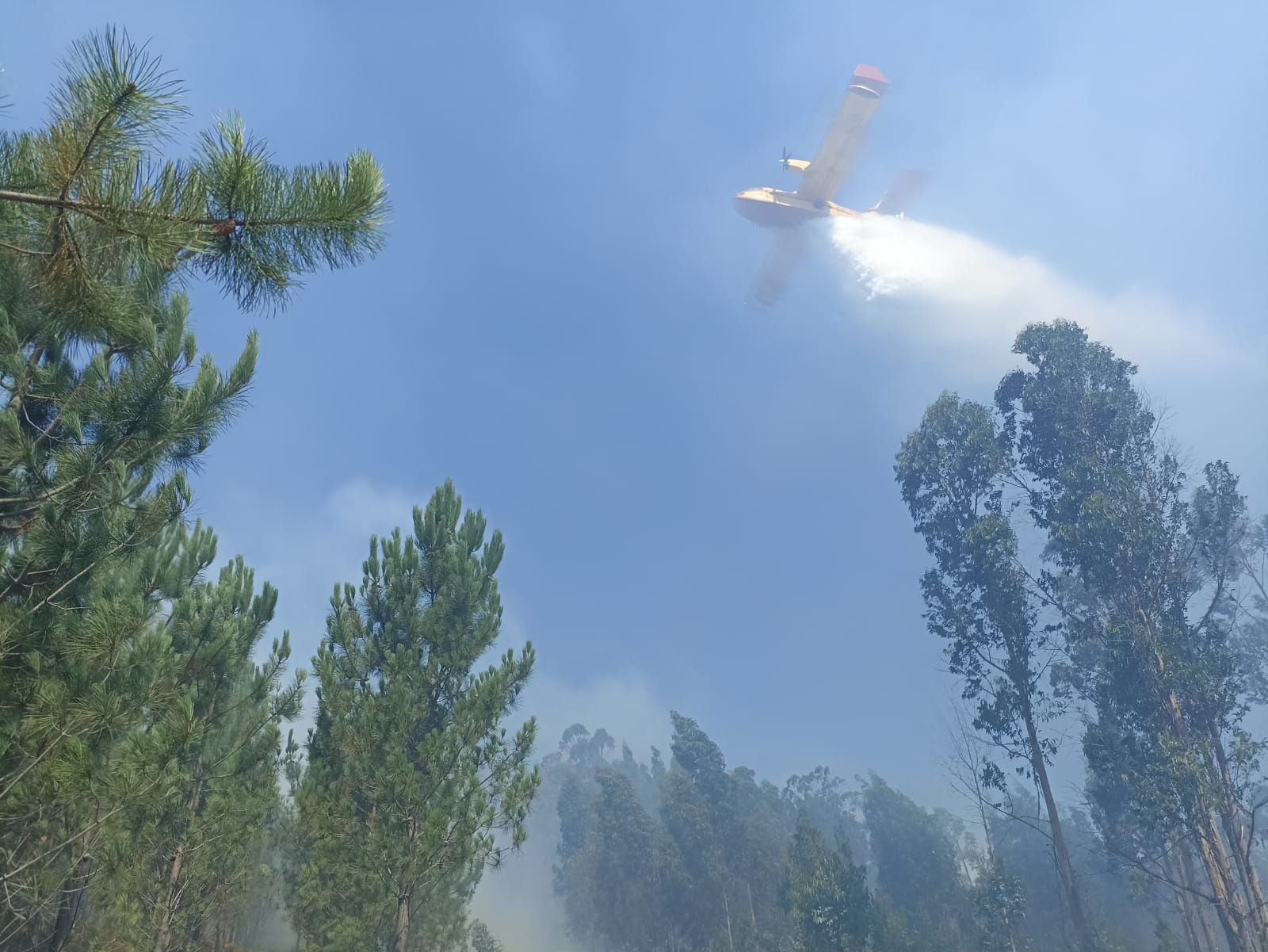 Jornada de humo y cenizas en Arousa con hasta cuatro focos activos