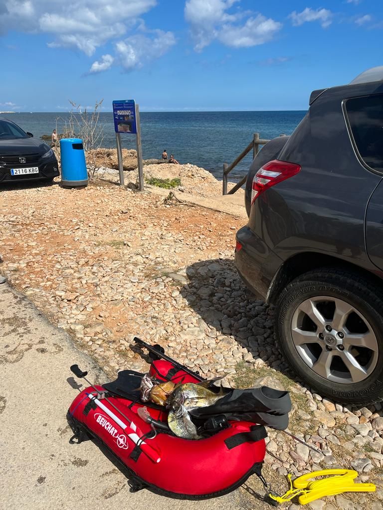 Sorprendido en Dénia un pescador furtivo que había capturado un mero, un sargo imperial y dos sargos