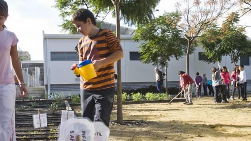 Alumnos de un colegio de Alicante realizan actividades en el huerto ecológico creado por el propio centro educativo