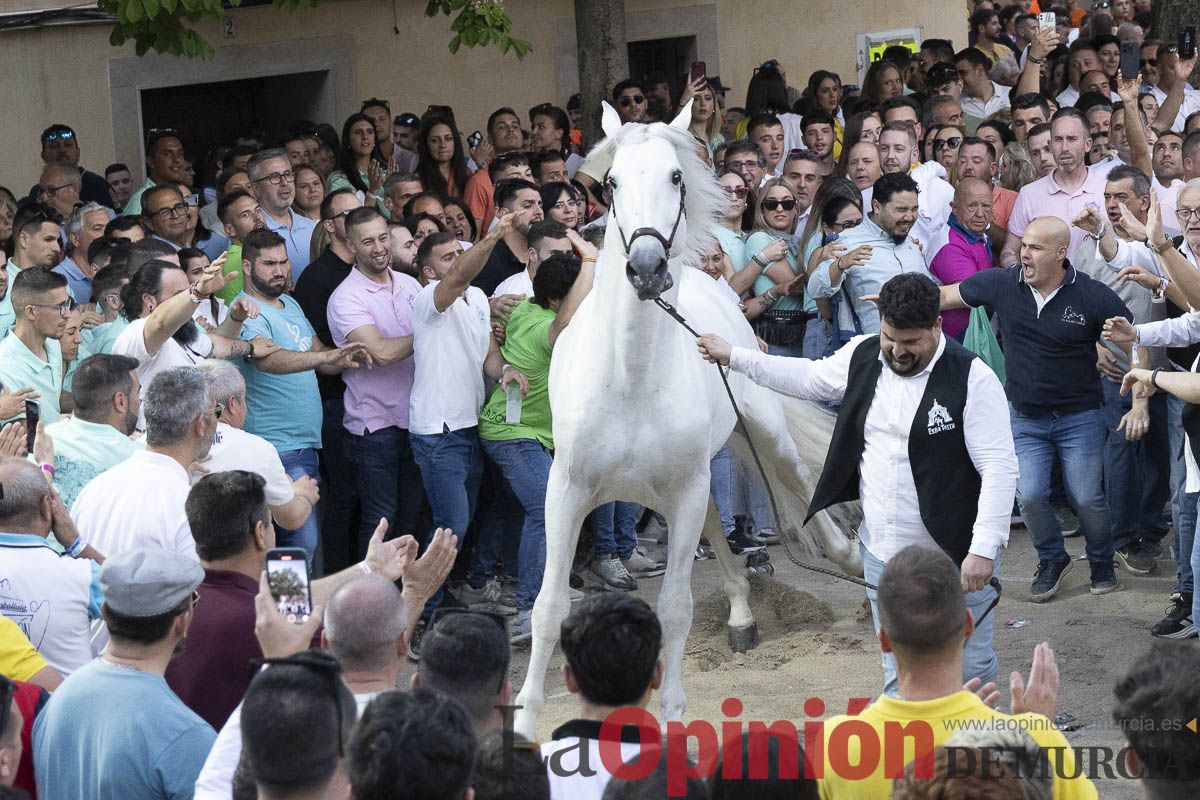 Fiestas de Caravaca | Entrega de premios del concurso morfológico