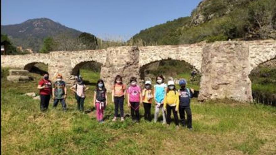 Els alumnes s&#039;han compromés al màxim amb totes les activitats del projecte.