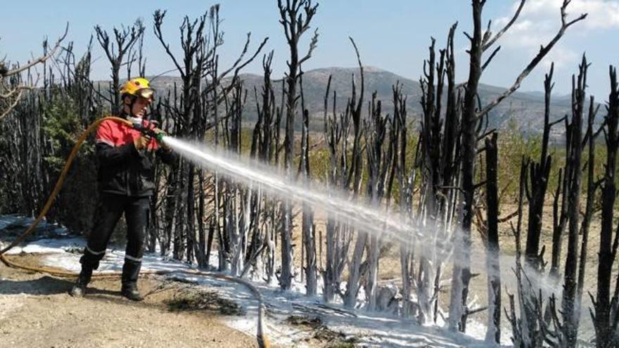 Incendio en Agres