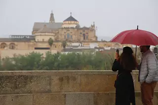 Las lluvias dejan en Córdoba 23,5 litros y alivian la situación del campo