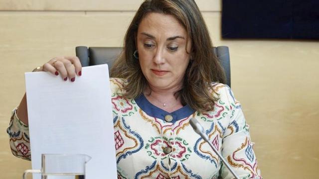 La consejera de Medio Ambiente y Energía, María González Corral. | LETICIA PÉREZ / ICAL