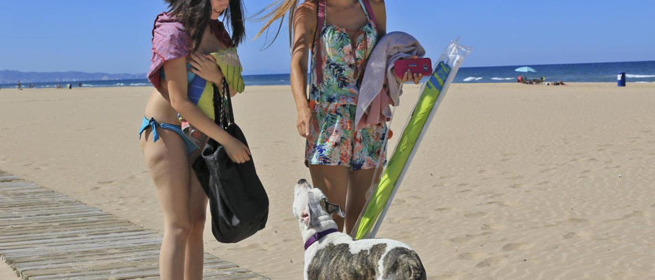 Dos chicas con un perro, el pasado verano en la zona habilitada para animales de la playa de Gandia.