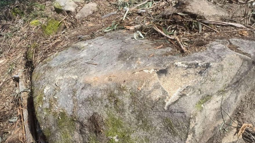 Los trabajos forestales en la autovía dañan un petroglifo catalogado en su construcción