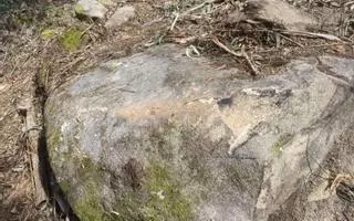 Los trabajos forestales en la autovía dañan un petroglifo catalogado en su construcción