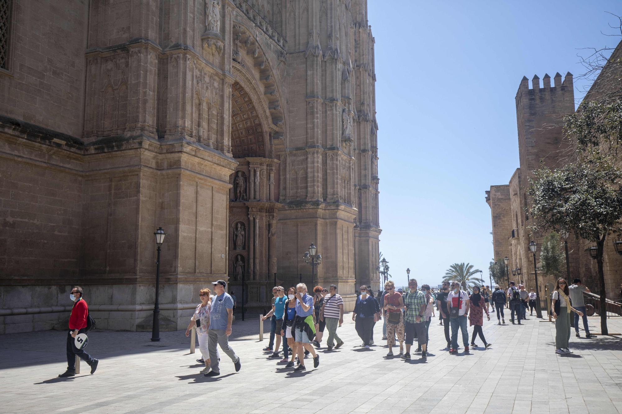 Cuatro grandes cruceros atracados en Palma este domingo