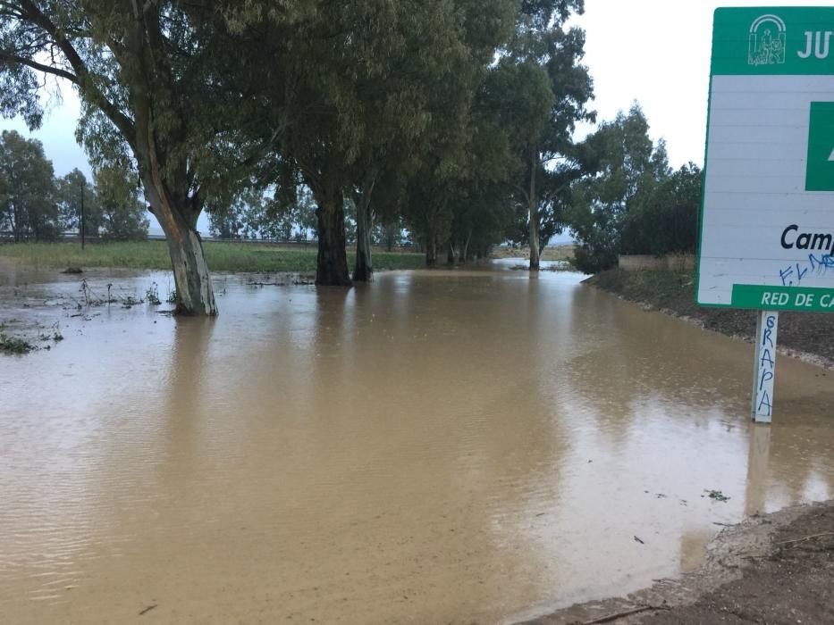 Efectos de la lluvia en Campillos