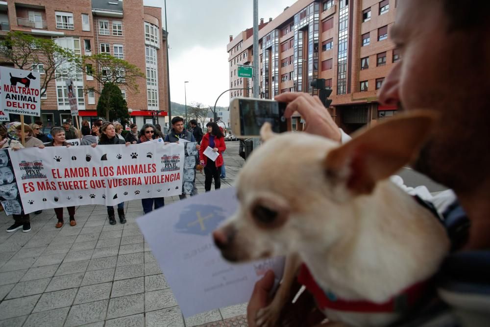 Manifestación contra el maltrato animal