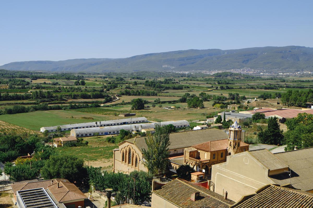 Celler del Sindicat en Barberà de la Conca