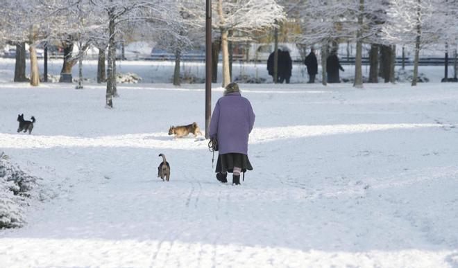 Así fue la nevada que en 2010 tiñó de blanco Santiago de Compostela