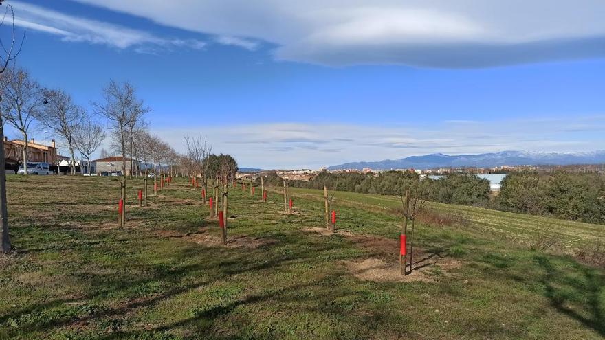 Vilafant reprèn la campanya &quot;Un naixament, un arbre&quot; pel canvi climàtic