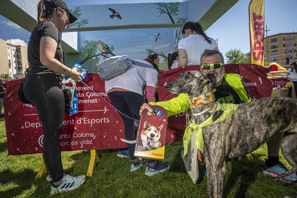 CAN WE RUN BARCELONA. La carrera organizada por Prensa Ibérica y El Periódico de Catalunya con la colaboración de Sport ,  donde las personas y sus mascotas perrunas corren en familia