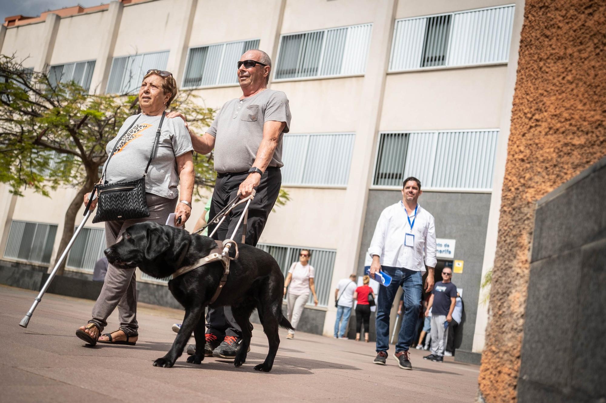 Jornada electora en Santa Cruz de Tenerife