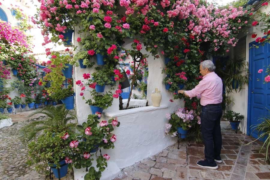 Los patios de Córdoba (1)