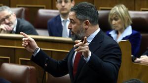 El líder de Vox, Santiago Abascal, durante la sesión del control en el Congreso señalando a Sánchez y Feijóo.