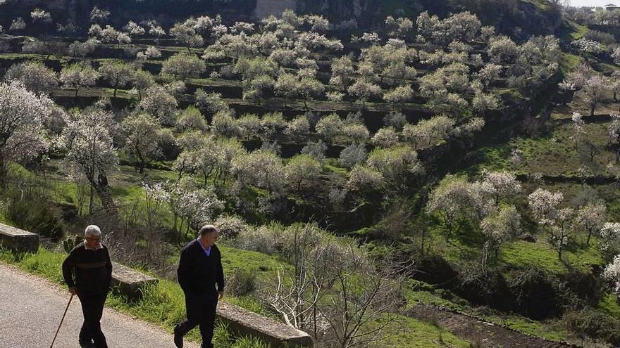 Dos fermosellanos caminan por la Ronda que da vista a una zona de bancales de Fermoselle.