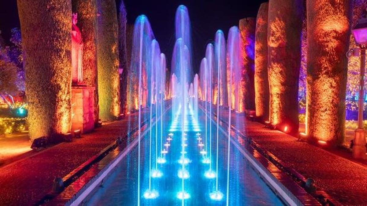 Imagen promocional del espectáculo 'Naturaleza encendida'