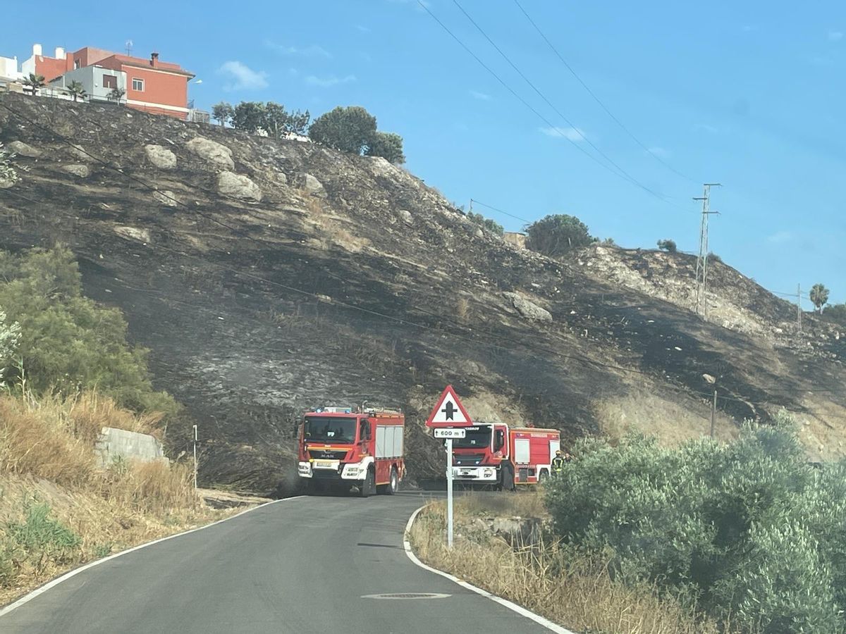 Los bomberos trabajan en la ladera afectada por el fuego en Puente Genil.