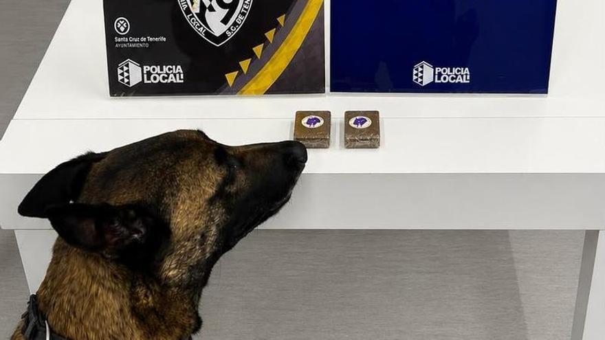 Man Arrested in Tenerife for Drug Possession and DUI With Minor in Vehicle