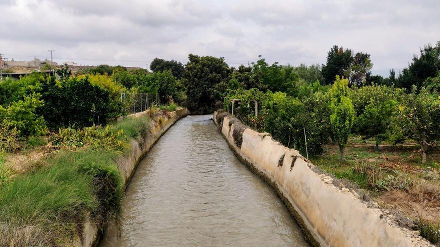 La sequía en el Segura obliga a aplicar los primeros recortes de agua a los agricultores