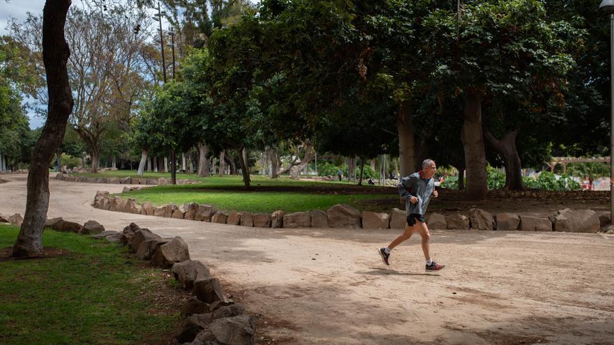 Santa Cruz intervendrá en los paseos centrales de La Granja «tras el verano»